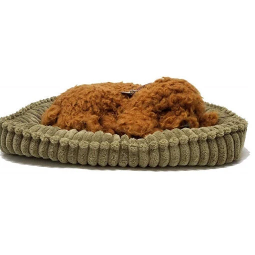 Perfect Petzzz Toy Poodle -Hot Sale Toy Store XP91 40 2